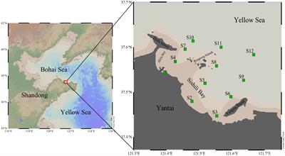 Spatial-temporal distribution and eutrophication evaluation of nutrients and trace metals in summer surface seawater of Yantai Sishili Bay, China